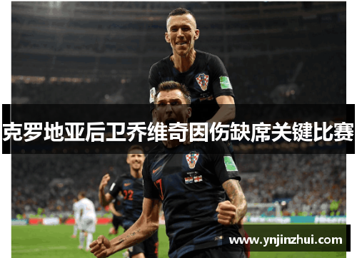 克罗地亚后卫乔维奇因伤缺席关键比赛