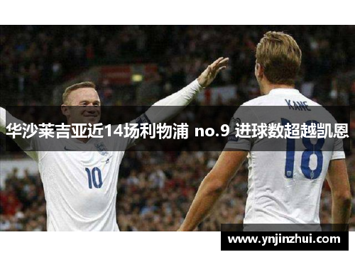 华沙莱吉亚近14场利物浦 no.9 进球数超越凯恩